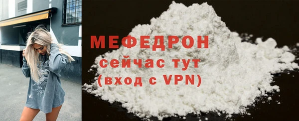 индика Богородск
