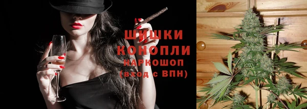 apvp Богородицк