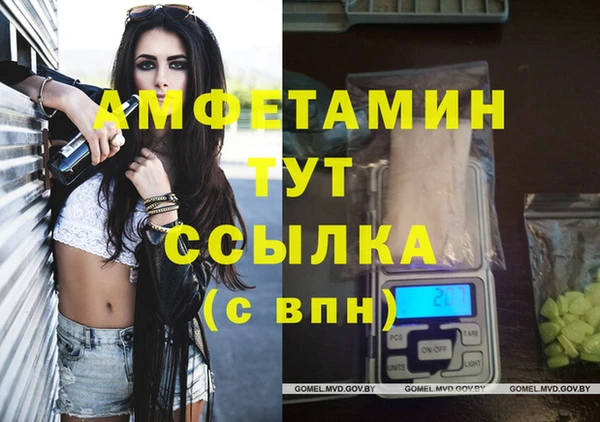 индика Богородск