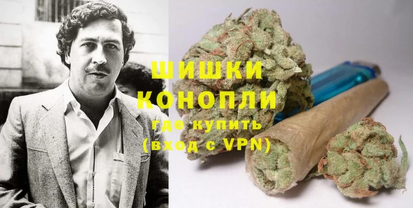 индика Богородск