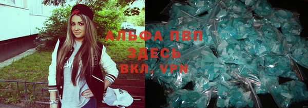 apvp Богородицк