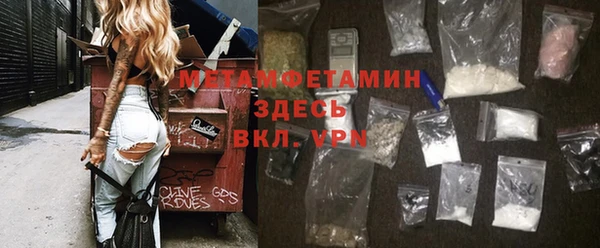 индика Богородск