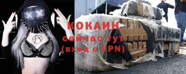 индика Богородск